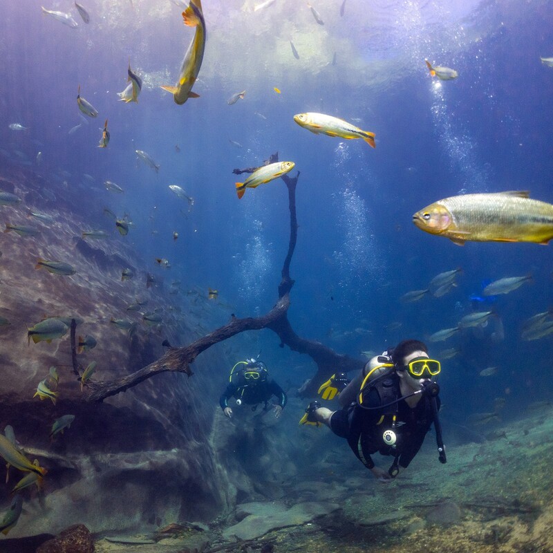 arquivos_mergulho-com-cilindro-no-recanto-ecolgico-rio-da-prata_760-21